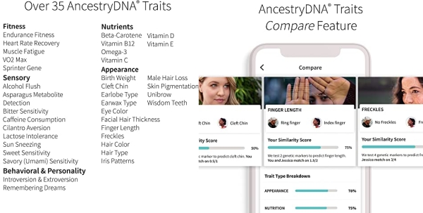 Ancestrydna Traits Genetic Ethnicity Traits Test Ancestrydna