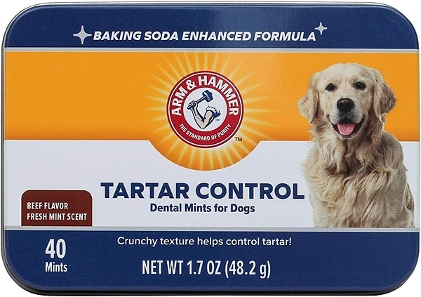 Arm & Hammer Tartar Control Dental Mints for Dogs, Beef Flavor, 40 Count