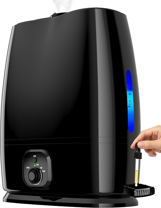 Everlasting Comfort 6L Humidifier, Quiet 50HR Runtime, No-Filter Cool Mist