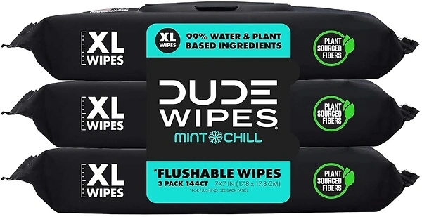 DUDE Wipes Flushable Wipes - 3 Pack, 144 Wipes - Mint Chill Extra-Large