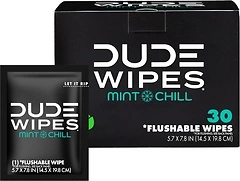 DUDE Wipes - On-The-Go Flushable Wipes - 1 Pack, 30 Wipes - Mint Chill Extra-Large Individually Wrapped Adult Wet Wipes - Eucalyptus & Tea Tree Oil - ...