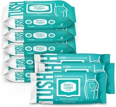 Nice 'N Clean Adult Flushable Wipes, 8 Packs of 42 Wipes, Aloe & Vitamin E