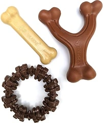 Nylabone Power Chew Toy Bundle for Dogs, Indestructible, Pack of 3, Small Dogs